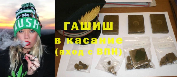 индика Алзамай