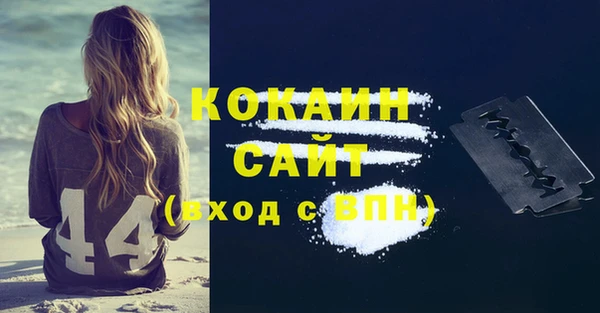 кокс Алексин