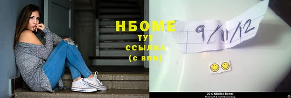 индика Алзамай