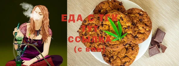 индика Алзамай