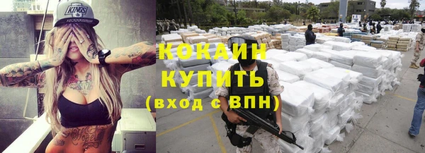 кокс Алексин