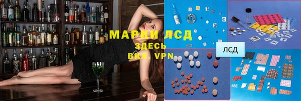 индика Алзамай
